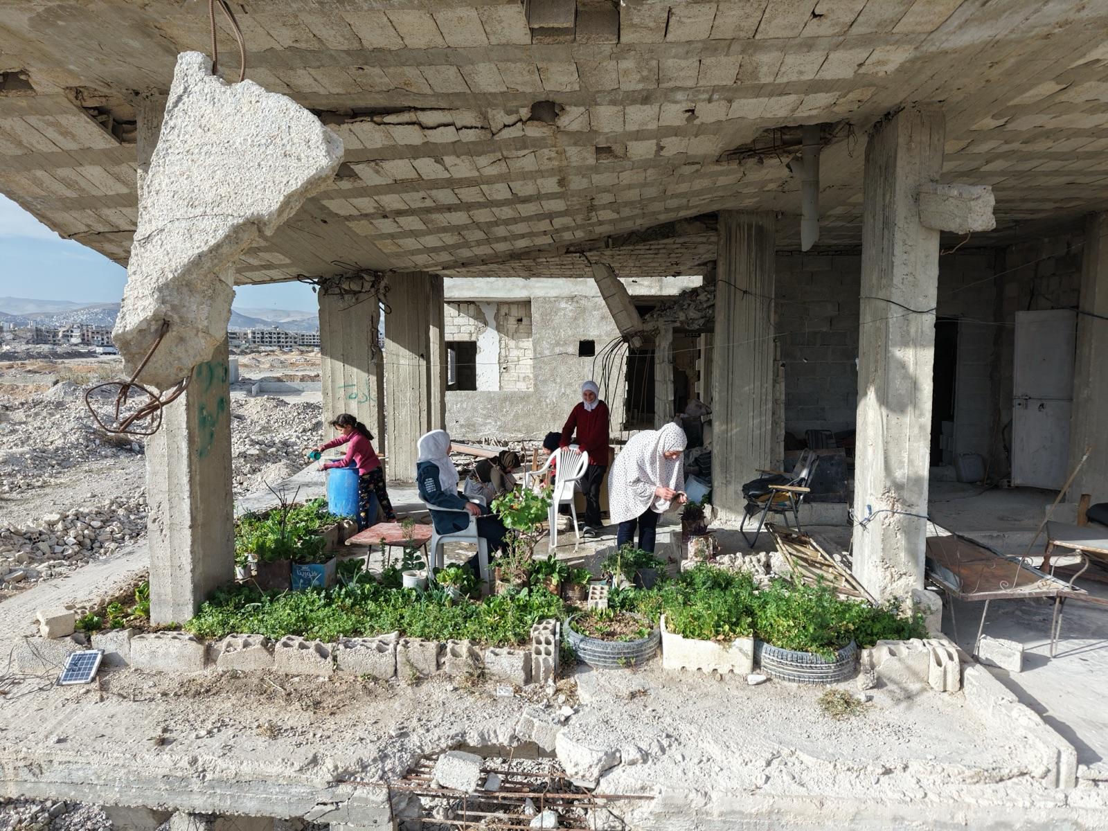 Seen from above, women tend a vegetable garden planted inside the shell of a bombed-out building, rubble all around.